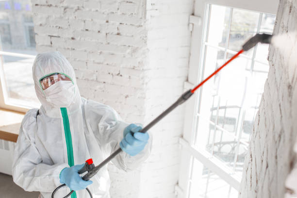 Best Mold Prevention Services  in Powell, AL